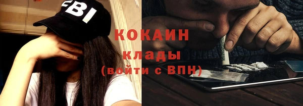 шишки Козловка