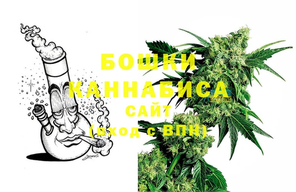 шишки Козловка
