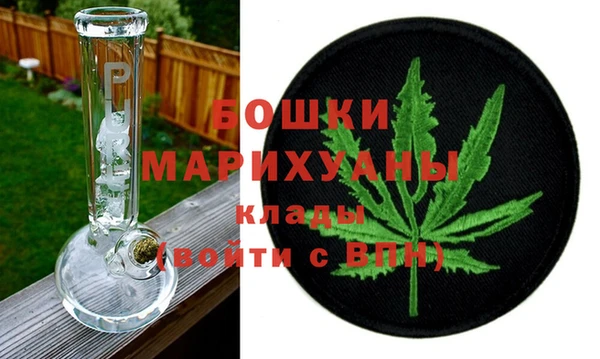 шишки Козловка