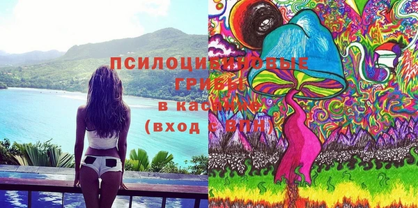 шишки Козловка